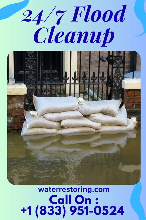 24/7 Flood Cleanup in Woodsboro, MD