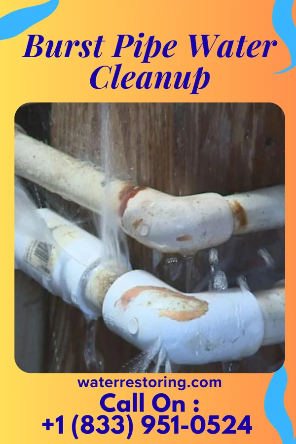 Burst Pipe Water Cleanup in Woodsboro, MD