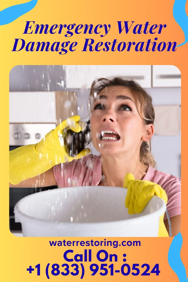 Emergency Water Damage Restoration in Woodsboro, MD