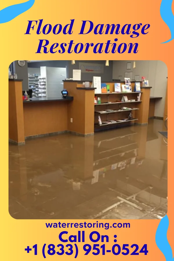 Flood Damage Restoration in Woodsboro, MD