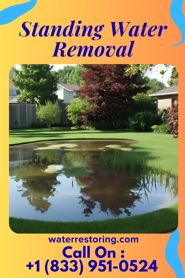 Standing Water Removal in Woodsboro, MD